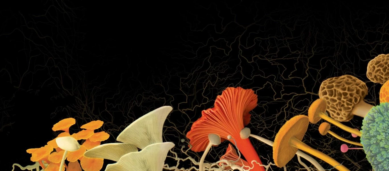 Αυτό είναι το βιβλίο που κατασπαράχθηκε από... μανιτάρια (βίντεο)